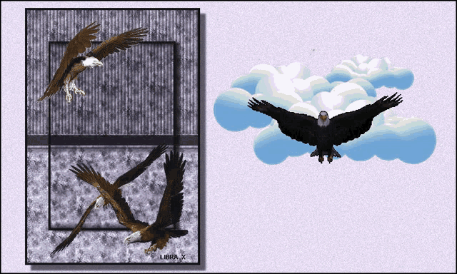 Bird Eagle GIF