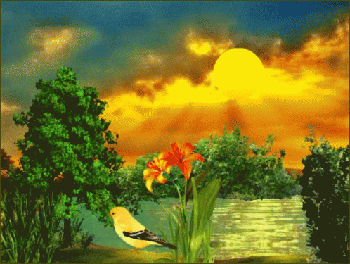 Bird Lake GIF
