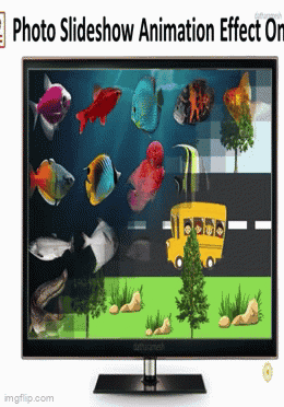 Bird Powerpoint GIF