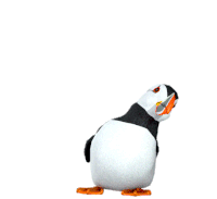 Bird Thinking Sticker