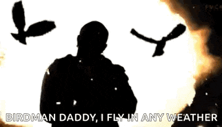 Birdman Rubbing GIF