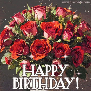Birthday Birthday Wishes GIF