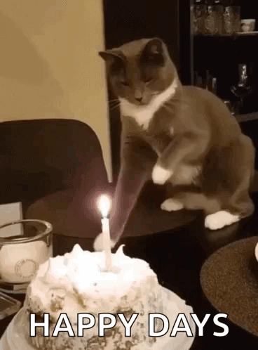 Birthday Cake Happy Birthday GIF