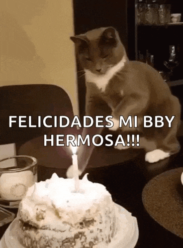 Birthday Cake Happy Birthday GIF