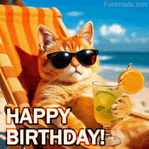 Birthday Cat GIF
