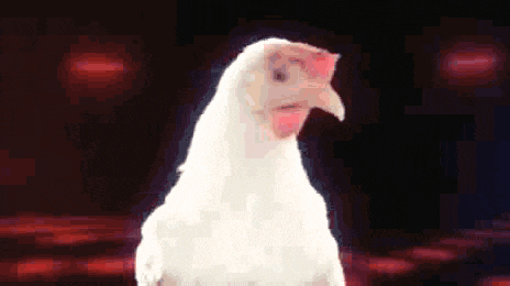 Birthday Chicken GIF