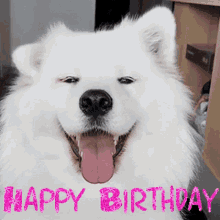 Birthday Girl Happy Birthday GIF