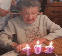 Birthday Happy Birthday GIF