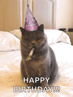 Birthday Happybirthday GIF