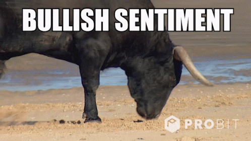 Bitcoin Cryptocurrency GIF