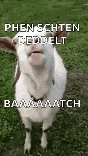 Bla Bla Bla GIF