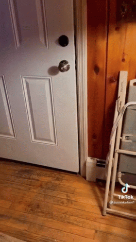 Black Bear House GIF
