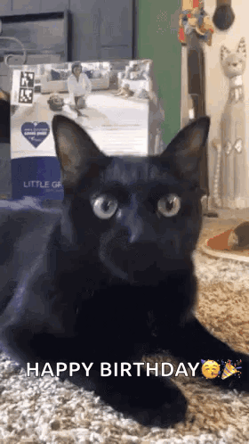 Black Cat Birthday Hat GIF