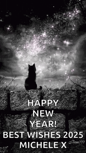 Black Cat GIF