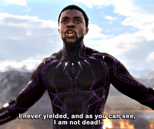 Black Panther Marvel Studios Black Panther GIF