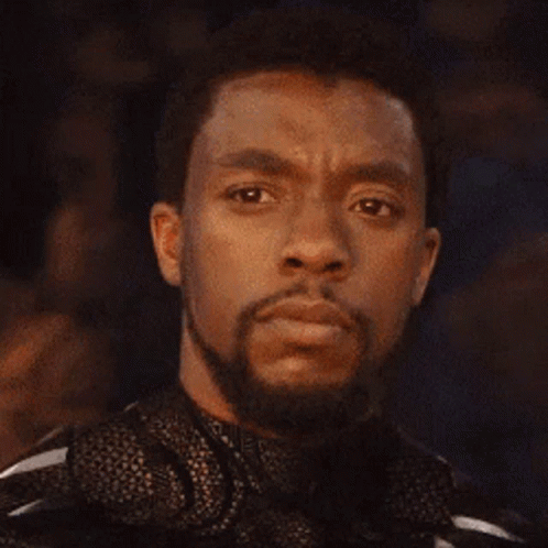 Black Panther Stare GIF