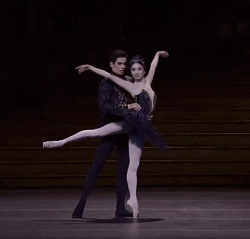 Blackswan Ballet GIF