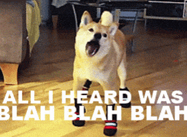 Blah Blah Blah Whatever GIF