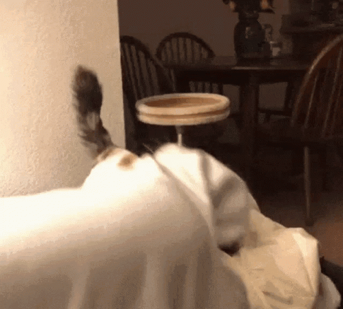 Blanket Attack Cat Biting Blanket GIF