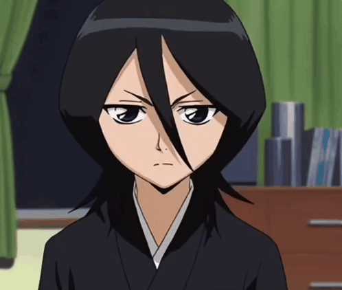 Bleach Anime GIF