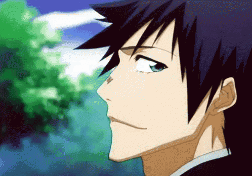Bleach Kaien Shiba GIF