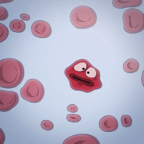 Blood Cell Hematocytes GIF