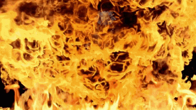 Bloop Fire GIF