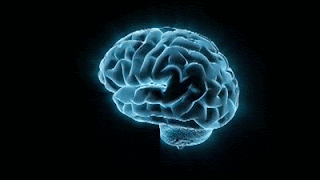Blue Brain GIF
