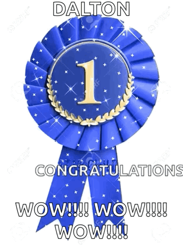 Blue Ribbon First Place GIF