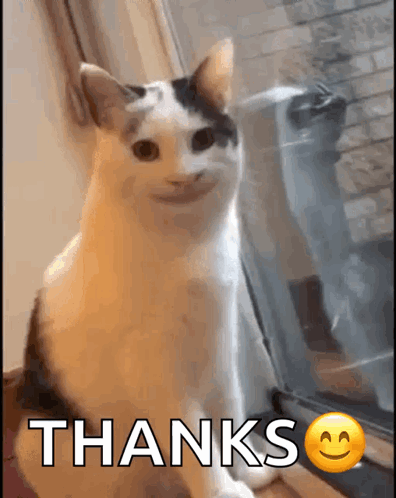 Blushing GIF