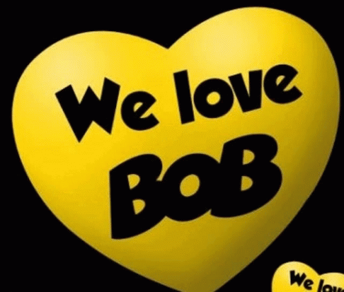 Bob The Cat Cat GIF