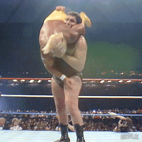 Body Slam Terry Bollea GIF