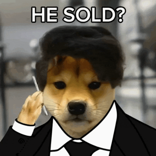 Bogdanoff Grichka GIF