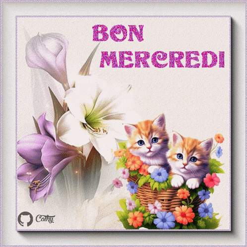 Bon Mercredi GIF