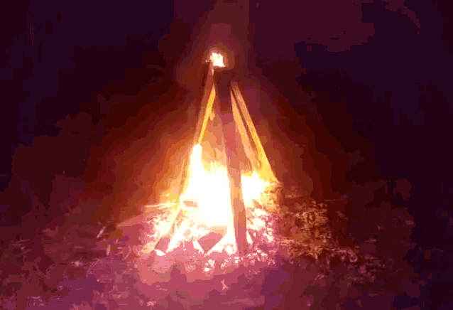Bonfire Campfire GIF