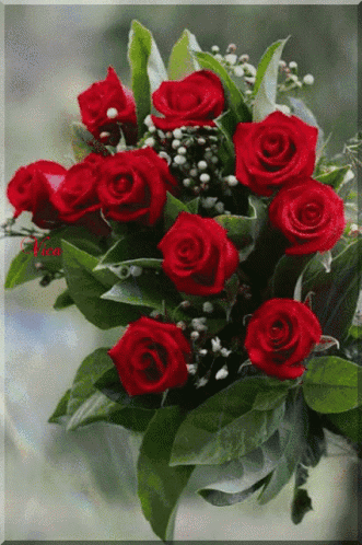 Bonjour GIF