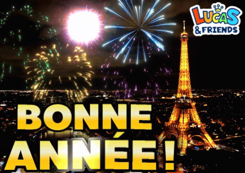 Bonne Année Bonne Annee GIF