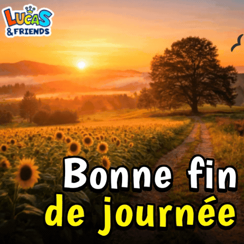 Bonne Fin De Jornee Enjoy The Rest Of The Day GIF