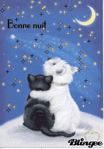 Bonne Nuit Goodnight GIF