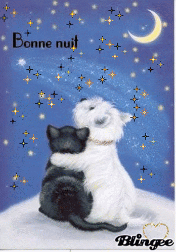 Bonne Nuit Goodnight GIF