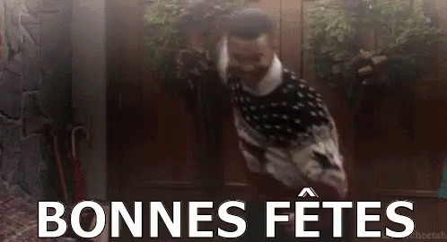 Bonnes Fêtes GIF