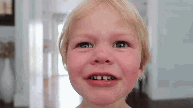 Bonnie Hoellein Lincoln Hoellein GIF