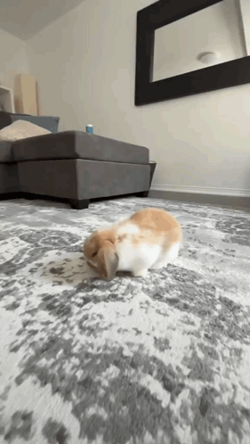 Boooiiiiiinnngg Hello Friend GIF