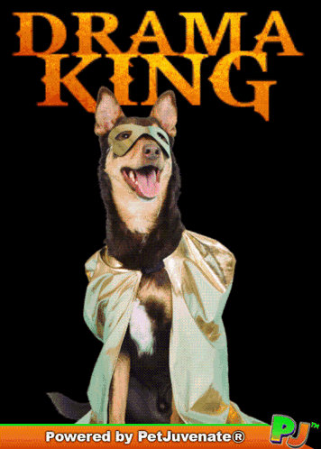 Bork Cute Doggo GIF