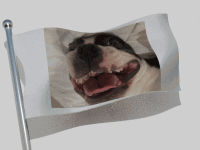 Bosco Flag Woohoo GIF