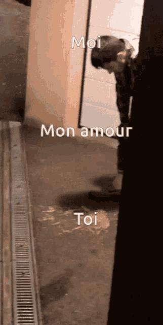 Botiste Vomis GIF