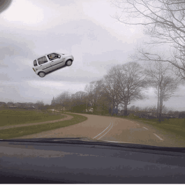 Boukje De Lang Pietkeutel GIF