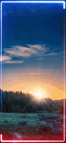 Boyvitz6969 GIF