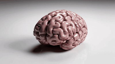 Brain Melt Brain Puddle GIF