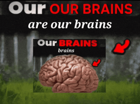Brain Our Brains GIF